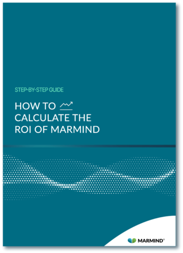 How to Calculate the ROI of MARMIND